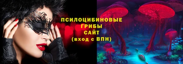 амф Арсеньев