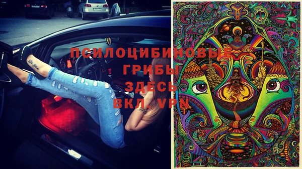 дурь Алексин