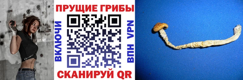 купить   Жуковка  Псилоцибиновые грибы мухоморы 